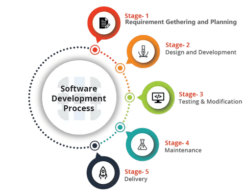 RoxelEye Software Solutions Service-Process