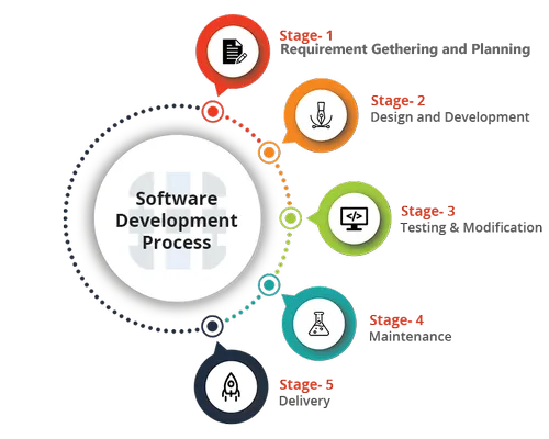 RoxelEye Software Solutions Service-Process